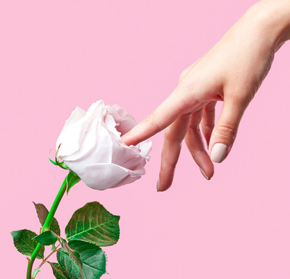 The Captivating Design of the Rose Toy